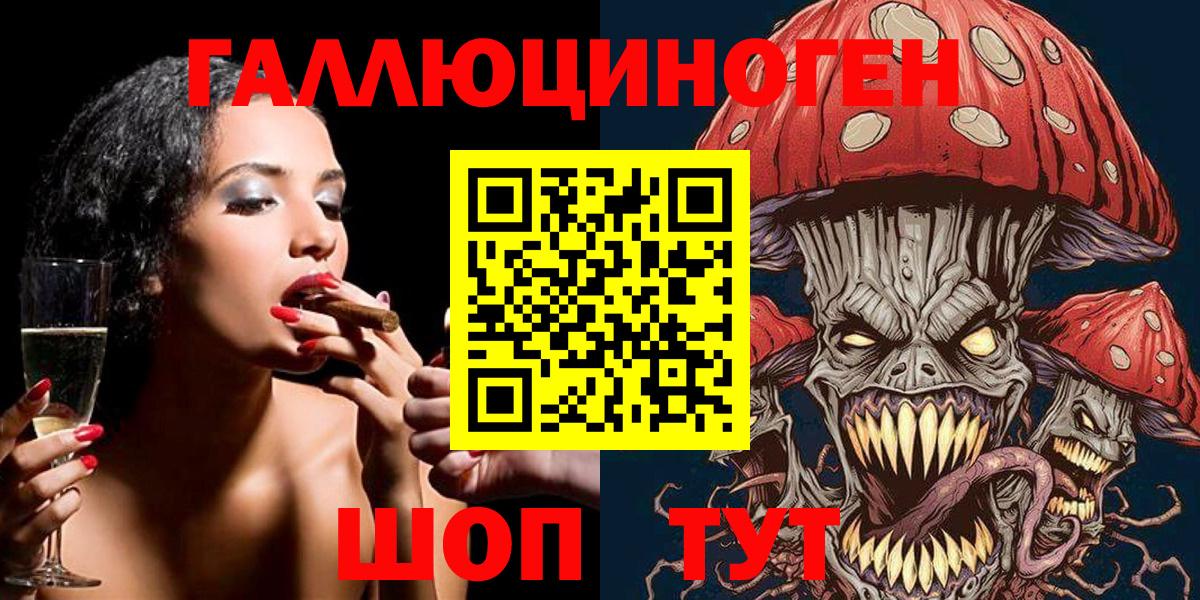 Псилоцибиновые грибы Psilocybe Великие Луки